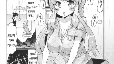 새끼 고양이의 보은 [쇼츠야동,섹트야동,국산야동,혼딸야동]