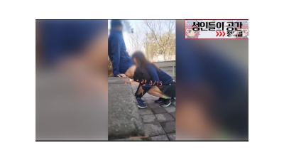 공원에서 갑자기 빨아주네 [쇼츠야동,섹트야동,국산야동,혼딸야동]